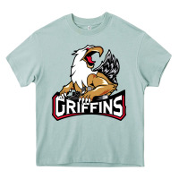 Arona #the griffins grand rapids Heavy Core Tee - linhVisuals