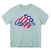 Arona the-rochester-americans-pen Heavy Core Tee - linhVisuals