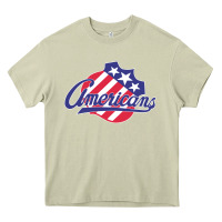 The-rochester-americans-pen Heavy Core Tee | Teevron