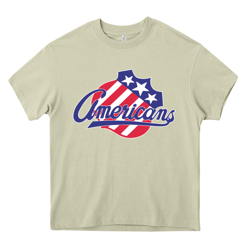 The-rochester-americans-pen Heavy Core Tee by linhVisuals | Teevron