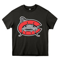 Asphalt carolina mudcats Heavy Core Tee - linhVisuals
