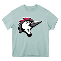 Arona fayetteville woodpeckers Heavy Core Tee - linhVisuals