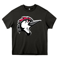 Asphalt fayetteville woodpeckers Heavy Core Tee - linhVisuals