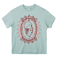 Arona Union College Heavy Core Tee - linhVisuals