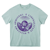 Arona Williams College Heavy Core Tee - linhVisuals