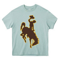 Arona wyoming athletics Heavy Core Tee - linhVisuals