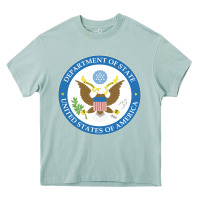 Arona us department of state 2 Heavy Core Tee - linhVisuals