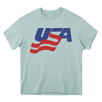 Arona usa hockey simple Heavy Core Tee - linhVisuals
