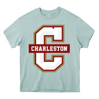 Arona the charleston cougars Heavy Core Tee - linhVisuals
