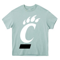 Arona the cincinnati bearcats Heavy Core Tee - linhVisuals