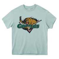 Arona the-utah-grizzlies-pen Heavy Core Tee - linhVisuals