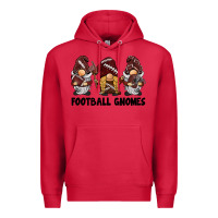 Cardinal football gnomes Premium Hoodie - BarkalooDesign