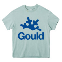 Arona gould academy Heavy Core Tee - linhVisuals