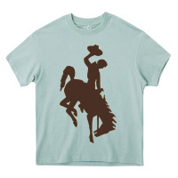 Arona wyoming athletics Heavy Core Tee - linhVisuals