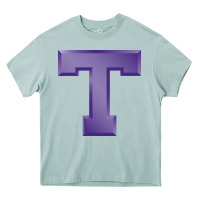Arona tarleton state athletics Heavy Core Tee - linhVisuals
