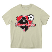 Atlanta Silverbacks Heavy Core Tee | Teevron