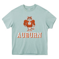 Arona auburn tigers 02 Heavy Core Tee - linhVisuals