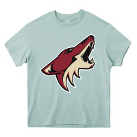 Arona the-coyotes-of-arizona-sporst Heavy Core Tee - linhVisuals