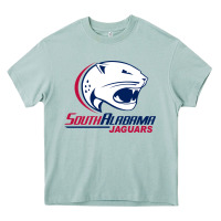 Arona south alabam Heavy Core Tee - linhVisuals
