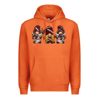 Carrot football gnomes Premium Hoodie - BarkalooDesign