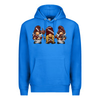 True Royal football gnomes Premium Hoodie - BarkalooDesign