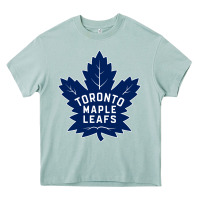 Arona the-toronto-maple-leafs-pen Heavy Core Tee - linhVisuals
