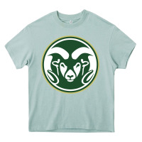Arona The colorado state rams Heavy Core Tee - linhVisuals