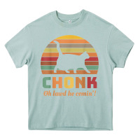 Arona chonk cat scale meme retro oh lawd he comin' memes t shirt Heavy Core Tee - linhVisuals