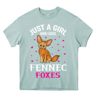 Arona fennec fox just a girl who loves fennec foxes t shirt Heavy Core Tee - linhVisuals