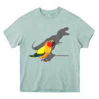 Arona cute screaming parrot, birb memes, funny t rex sun conure t shirt Heavy Core Tee - linhVisuals