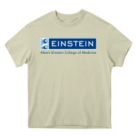 Mossy albert einstein college of medicine Heavy Core Tee - linhVisuals