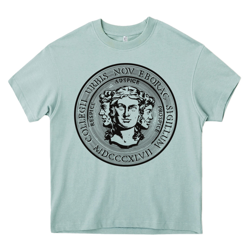City College Of New York Seal Heavy Core Tee by linhVisuals | Teevron