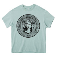 Arona city college of new york seal Heavy Core Tee - linhVisuals