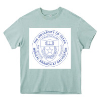Arona utmb seal Heavy Core Tee - linhVisuals