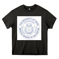 Asphalt utmb seal Heavy Core Tee - linhVisuals