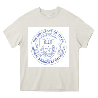 Cream utmb seal Heavy Core Tee - linhVisuals