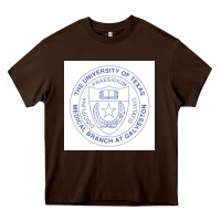Chocolate Brown utmb seal Heavy Core Tee - linhVisuals