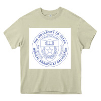 Mossy utmb seal Heavy Core Tee - linhVisuals