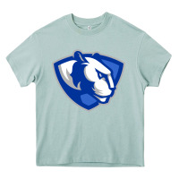 Arona The eastern illinois panthers Heavy Core Tee - linhVisuals