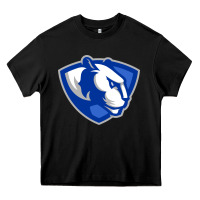 Black The eastern illinois panthers Heavy Core Tee - linhVisuals