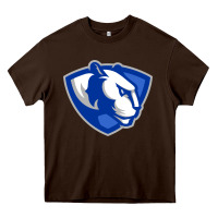 The Eastern Illinois Panthers Heavy Core Tee | Teevron