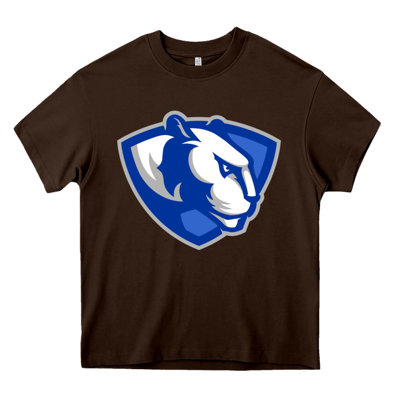 The Eastern Illinois Panthers Heavy Core Tee by linhVisuals | Teevron
