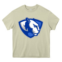 Mossy The eastern illinois panthers Heavy Core Tee - linhVisuals