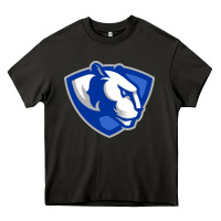 Asphalt The eastern illinois panthers Heavy Core Tee - linhVisuals