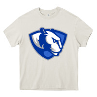 Cream The eastern illinois panthers Heavy Core Tee - linhVisuals