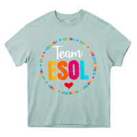 Arona back to school teachers crew students   team esol teacher t shirt Heavy Core Tee - linhVisuals