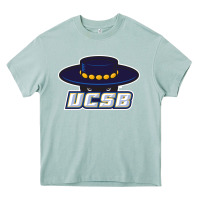 Arona The uc santa barbara gauchos Heavy Core Tee - linhVisuals