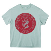 Arona stevens institute of technology Heavy Core Tee - linhVisuals