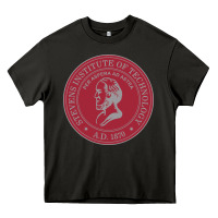 Asphalt stevens institute of technology Heavy Core Tee - linhVisuals