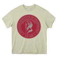 Stevens Institute Of Technology Heavy Core Tee | Teevron